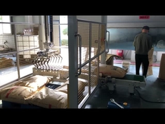 αυτόματη μηχανή εξομάλυνσης και palletizing, χαμηλού επιπέδου palletizer